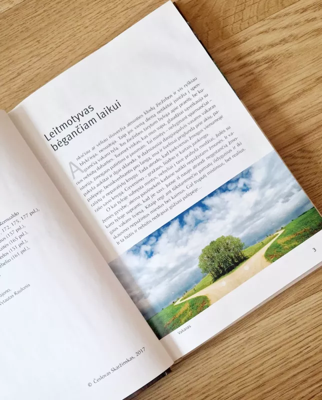 Palėpėje, į kurią atsėlina vakaras - Česlovas Skaržinskas, knyga 4