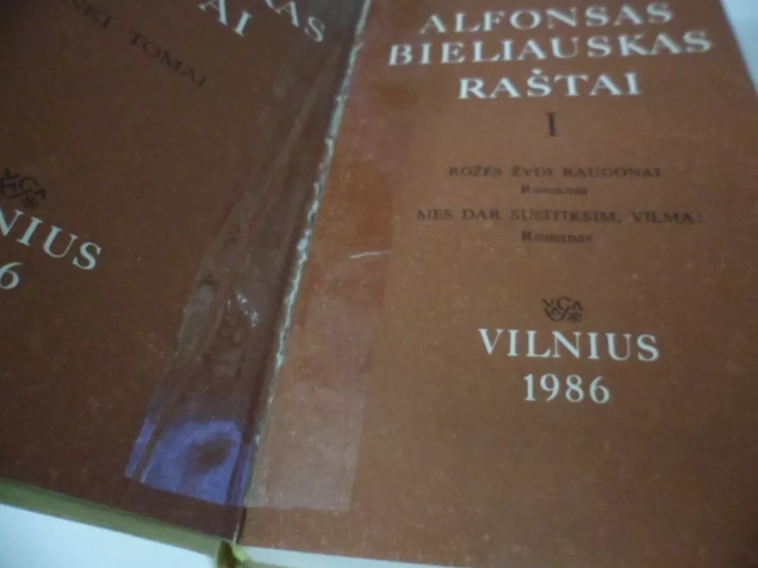 Raštai I - Alfonsas Bieliauskas, knyga 3