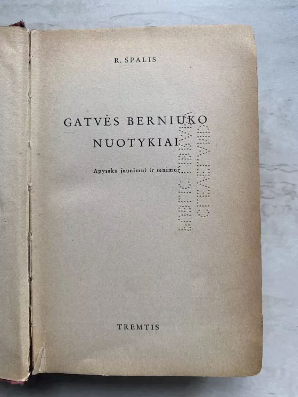 Gatvės berniuko nuotykiai - Romualdas Spalis, knyga 3