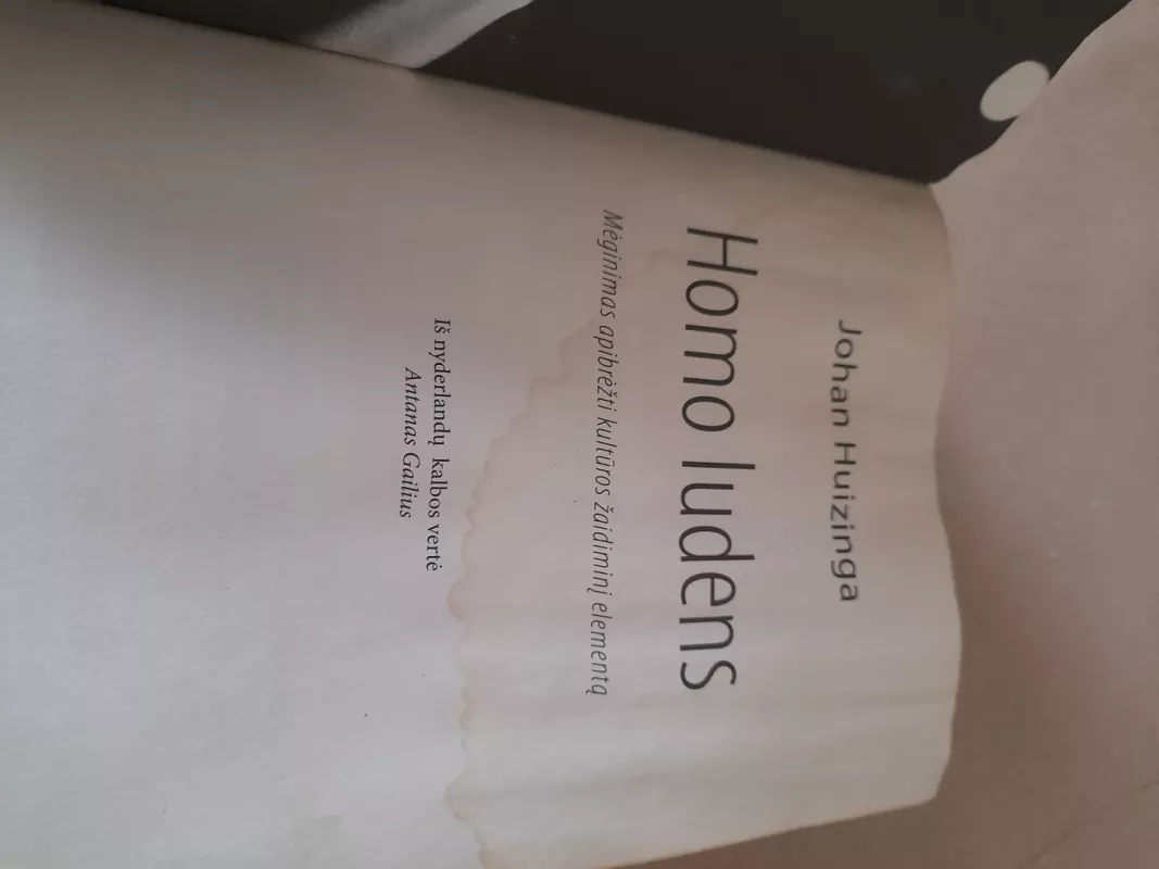 Homo ludens - Johan Huizinga, knyga 4