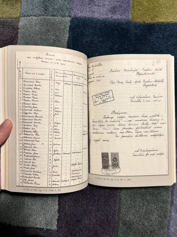 Paparčių šviesos židinys - Kazys Račkauskas, knyga 6