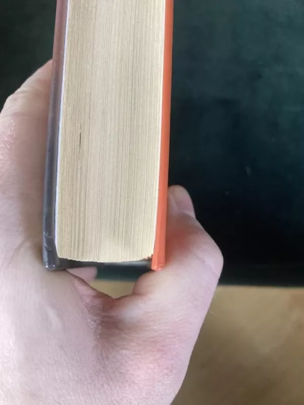 Raktas į Rebeką - Ken Follett, knyga 2