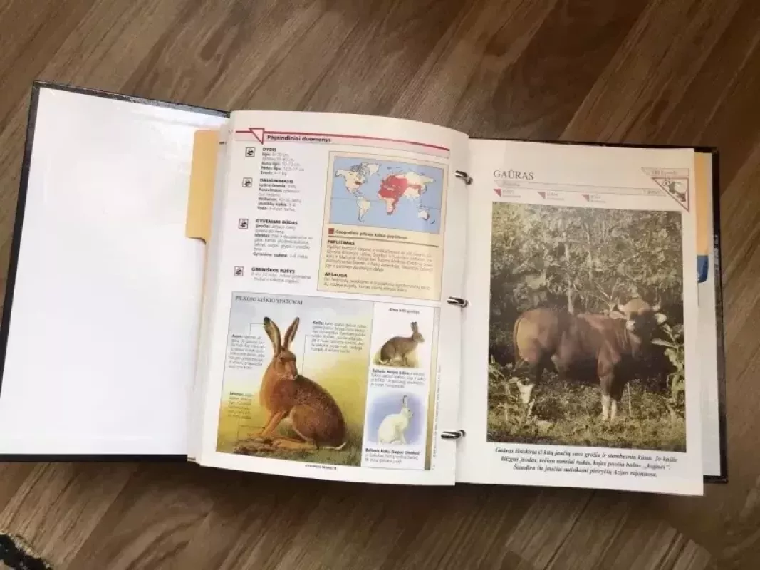 Gyvūnijos pasaulyje - Autorių Kolektyvas, knyga 6