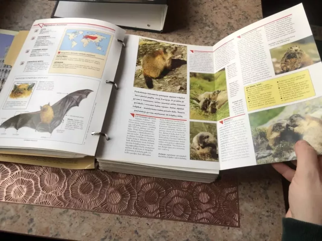 Gyvūnijos pasaulyje - Autorių Kolektyvas, knyga 3