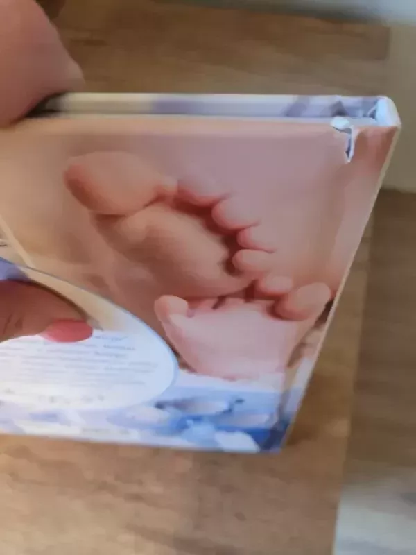 Pirmasis mažylio dienoraštis - Kate Cody, knyga 4