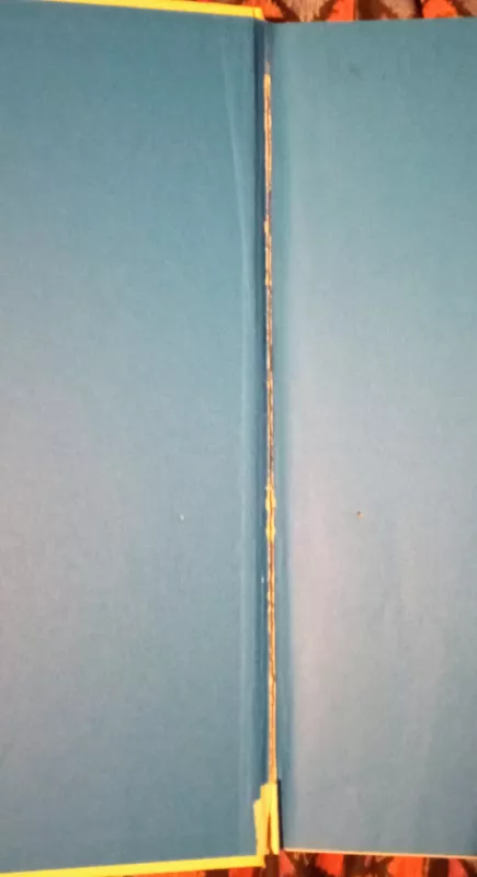 My First Dictionary: 1,000 words, pictures, and def (DK Games) - Betty Root, knyga 4