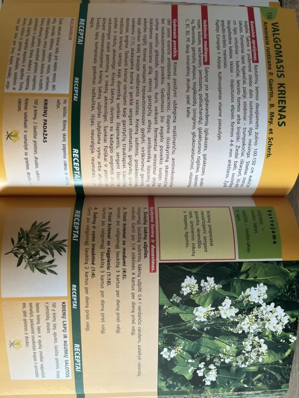 Maistiniai augalai: gydymui, kosmetikai, kulinarijai - S. M. Kalasauskienė, knyga 5
