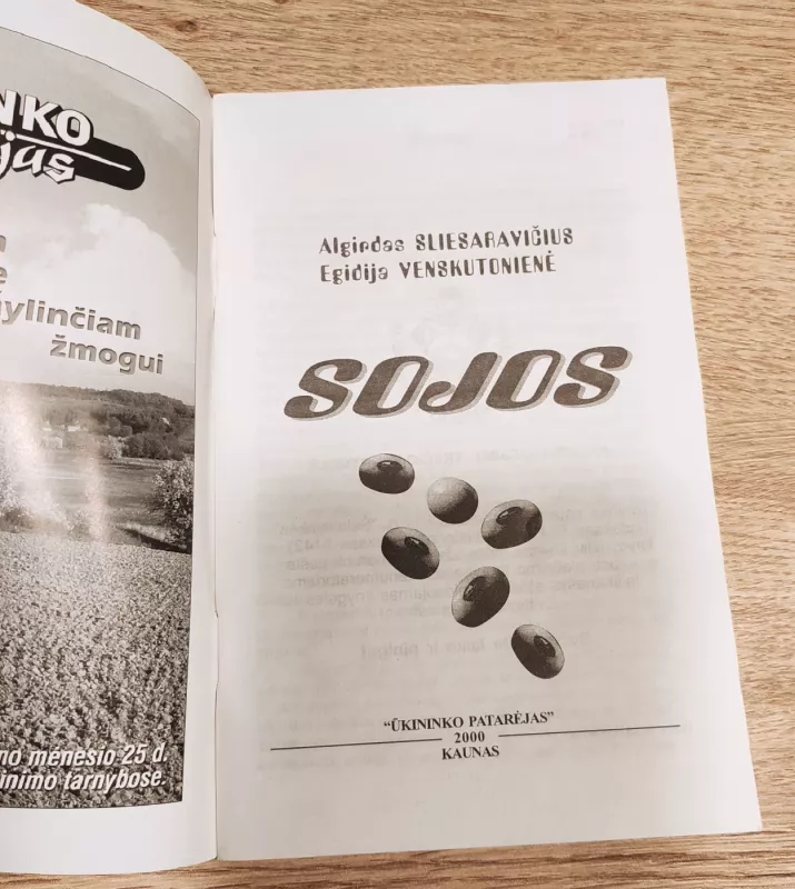 Sojos - Algirdas Sliesaravičius, knyga 6