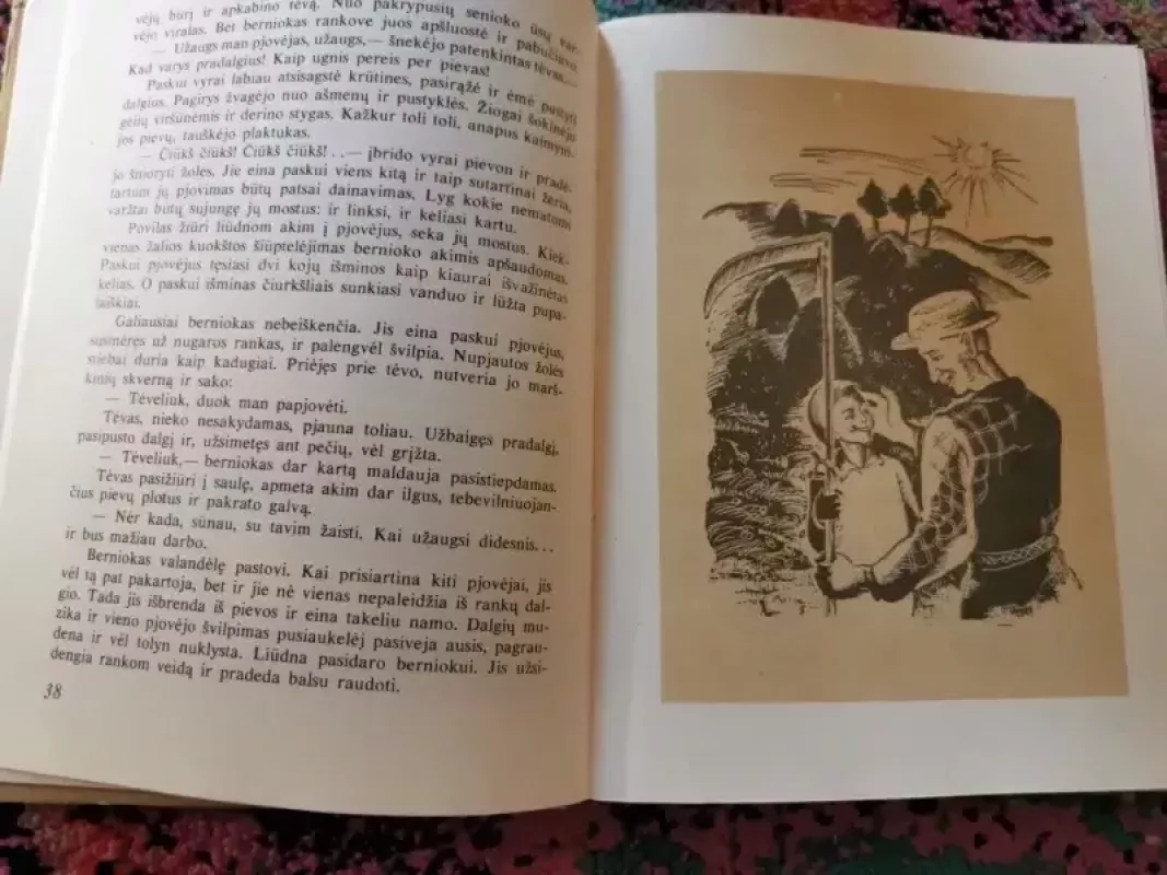 Per šaltį ir vėją - Stepas Zobarskas, knyga 4