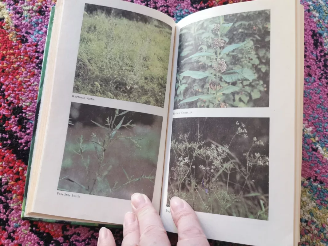 Aromatiniai augalai - J. Jaskonis, knyga 3