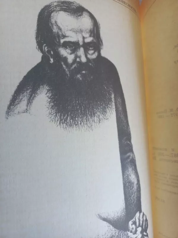 O russkoj literature - F.M.Dostojevskij, knyga 4