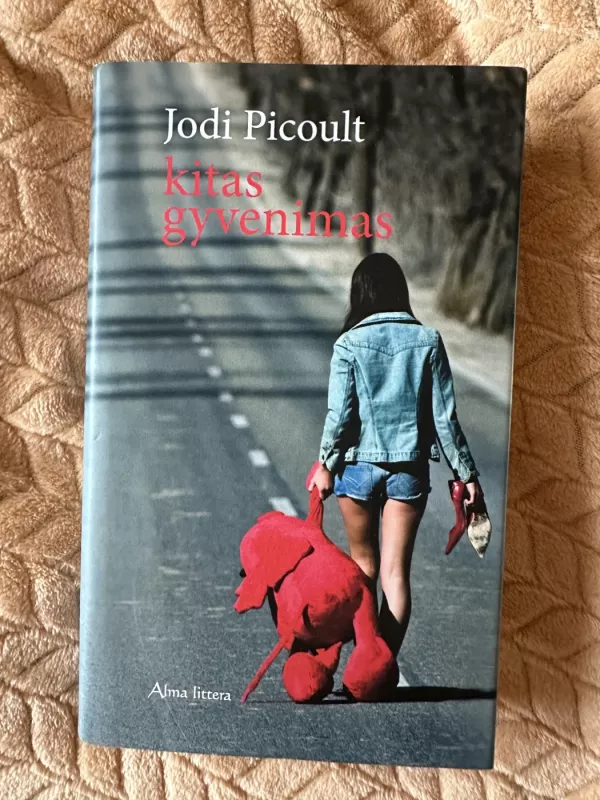Kitas gyvenimas - Jodi Picoult, knyga 2