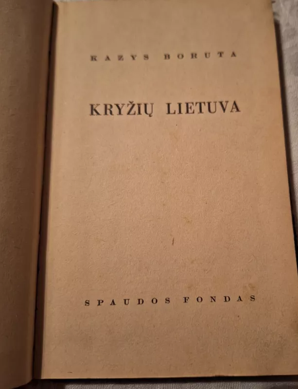 Kryžių Lietuva - Kazys Boruta, knyga 4