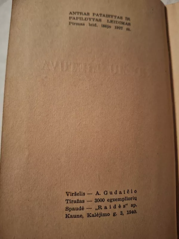 Kryžių Lietuva - Kazys Boruta, knyga 3