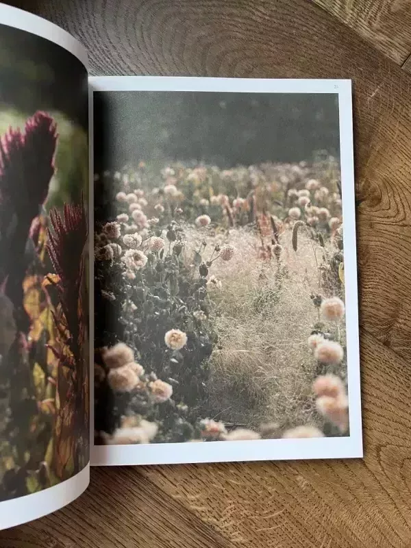 LAMŲ SLĖNIS 2019/RUDUO - Elas Ramanauskas, knyga 3