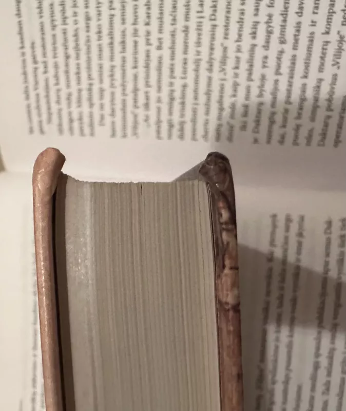 Senovės Kinijos mitai - Autorių Kolektyvas, knyga 5