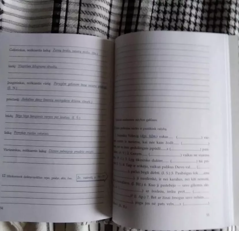 Lietuvių kalbos pratybų sąsiuvinis VI klasei (2) - Vilija Salienė, knyga 4
