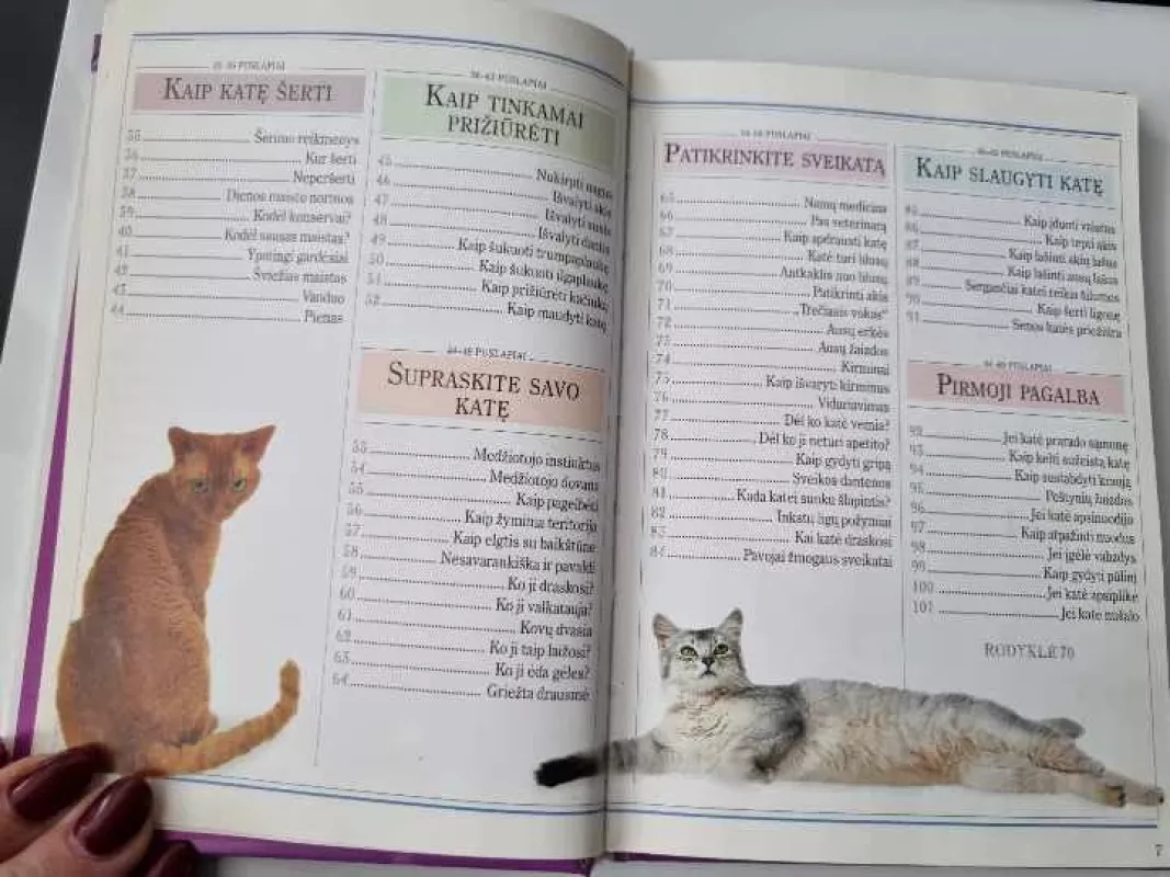Kaip prižiūrėti katę. 101 naudingi patarimai - 101 naudingi patarimai, knyga 4