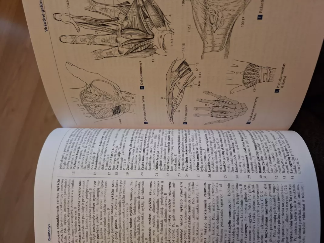 Kišeninis žmogaus anatomijos atlasas - Dauber Wolfgang, knyga 5