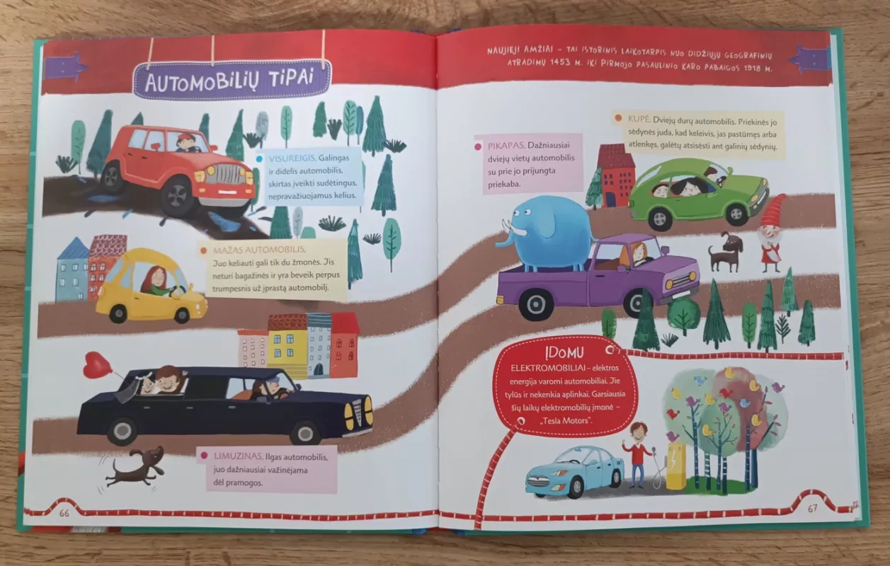 Netvarkos nykštukas Enciklopedija Įdomiausi išradimai - Lina Žutautė, knyga 5