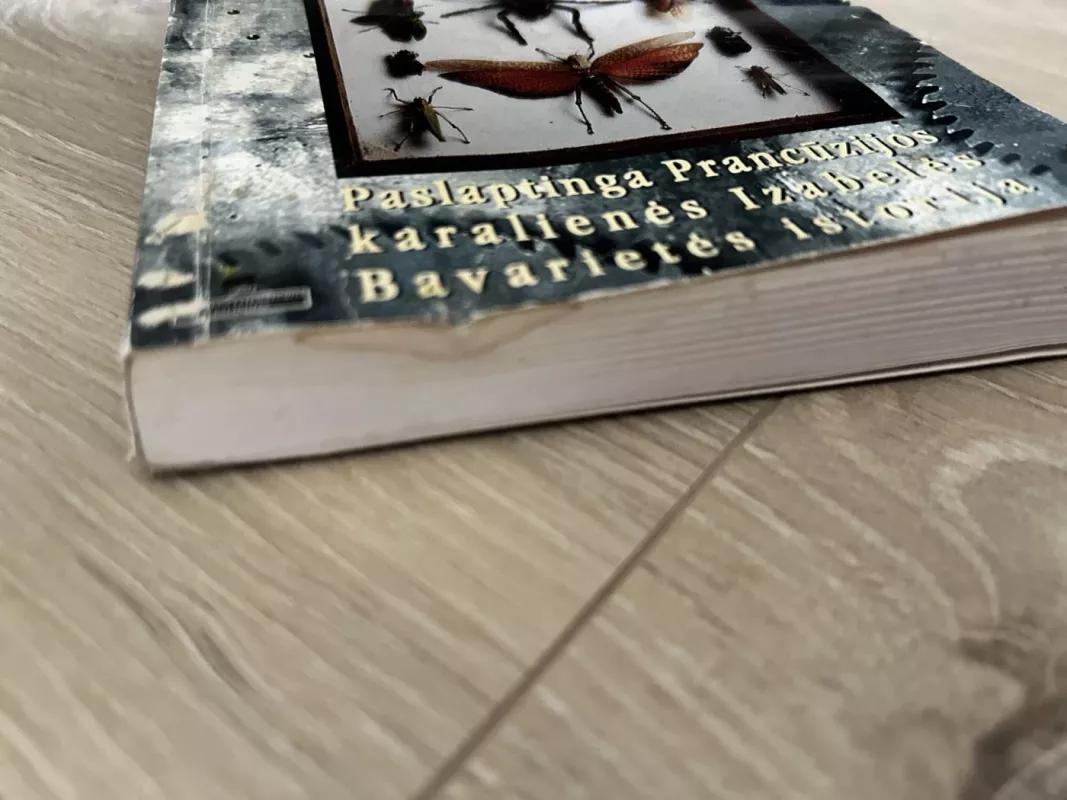 Paslaptinga Prancūzijos karalienės Izabelės Bavarietės istorija - Marquis de Sade, knyga 3