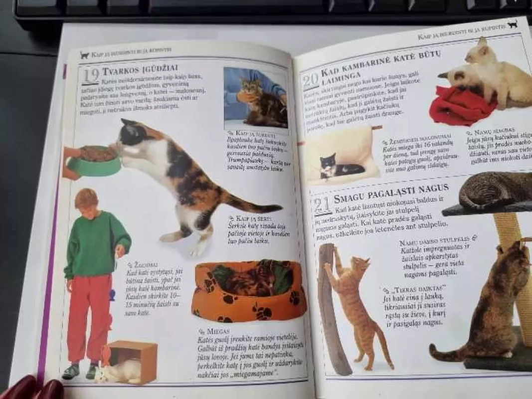 Kaip prižiūrėti katę. 101 naudingi patarimai - 101 naudingi patarimai, knyga 6