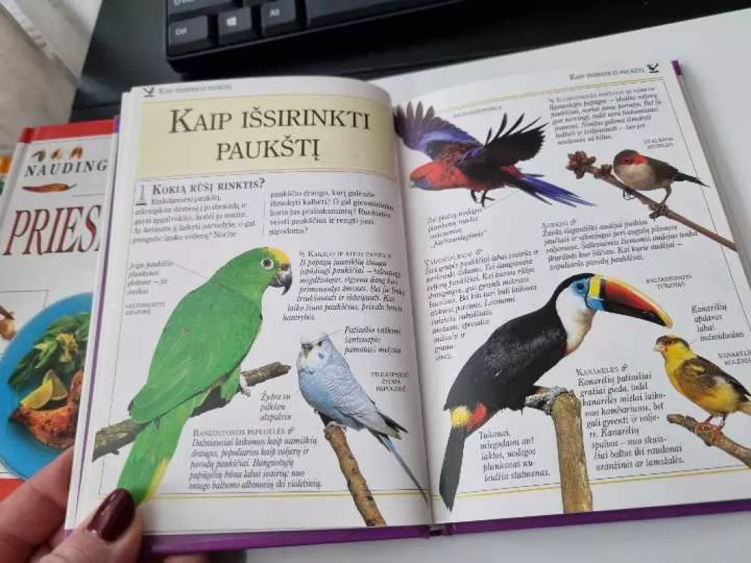 Paukštelių priežiūra. 101 naudingi patarimai - 101 naudingi patarimai, knyga 6