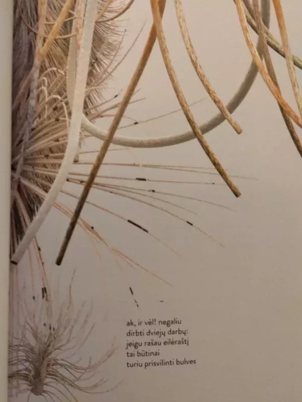 Women Are Poems - Ieva Juodelytė, knyga 3