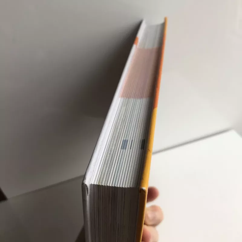 Praktiškos moters knyga - Daiva Dmuchovska, knyga 4