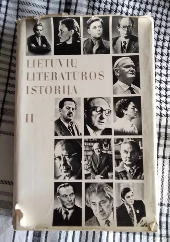 Lietuvių literatūros istorija II - Autorių Kolektyvas, knyga 3