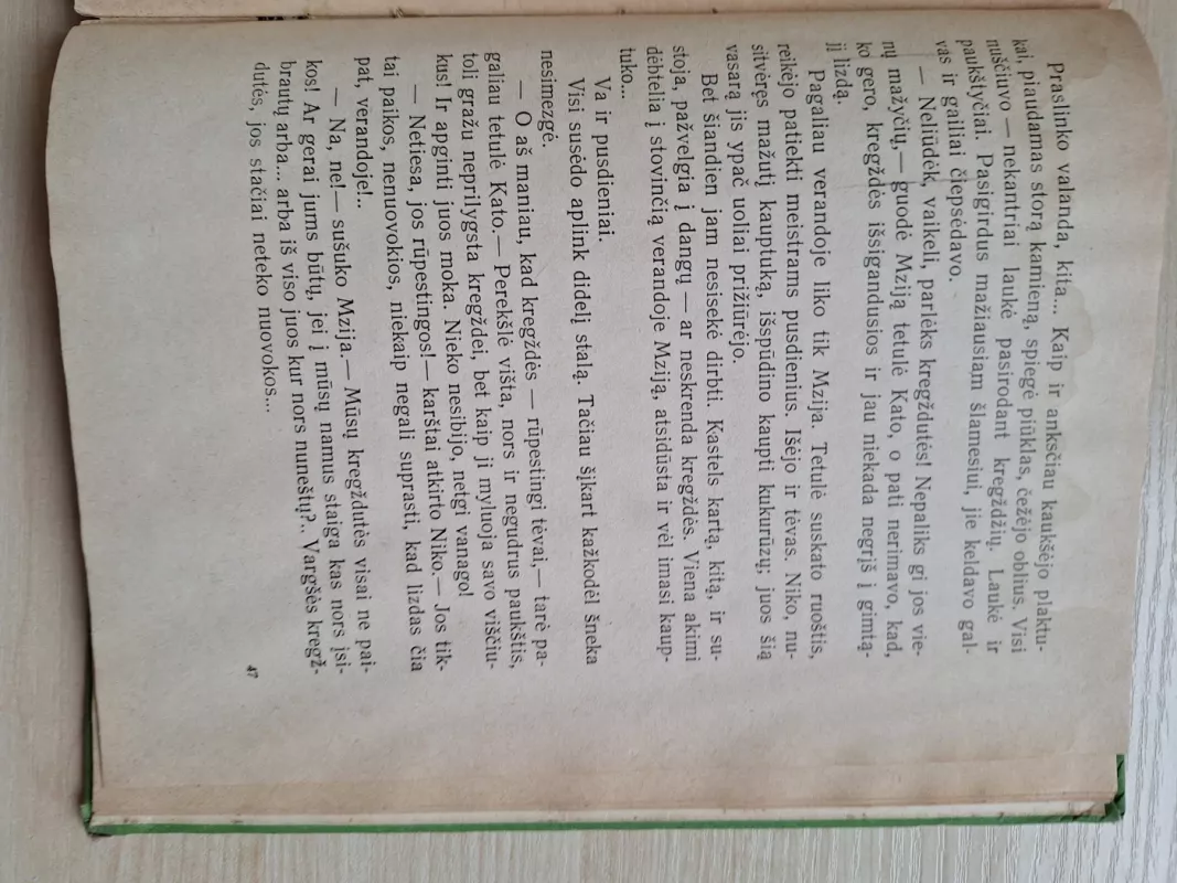 Medaus kalnas - G. Šatberašvilis, knyga 3