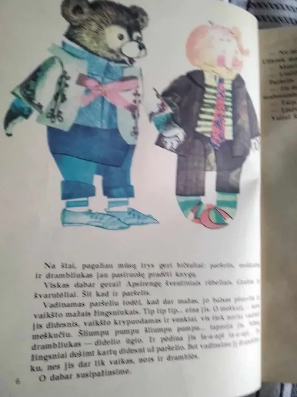 Namie ir gatvėje - Danas Bichorianus, knyga 6