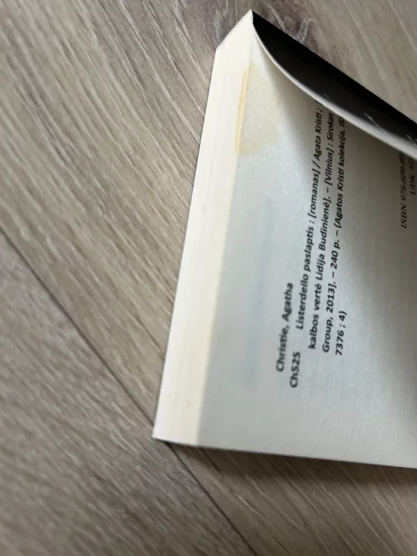 Nesibaigianti naktis - Agatha Christie, knyga 3