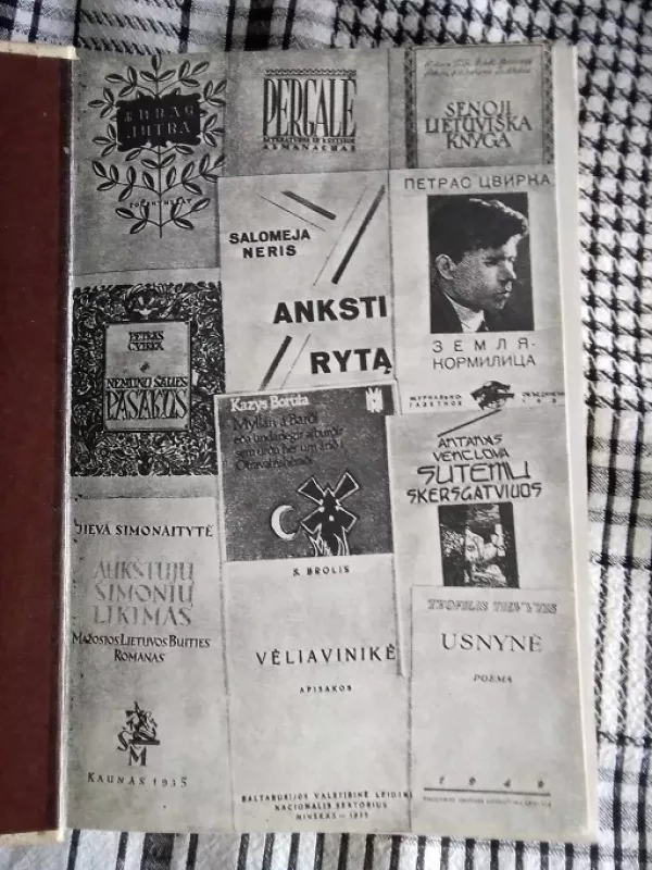 Lietuvių literatūros istorija II - Autorių Kolektyvas, knyga 4