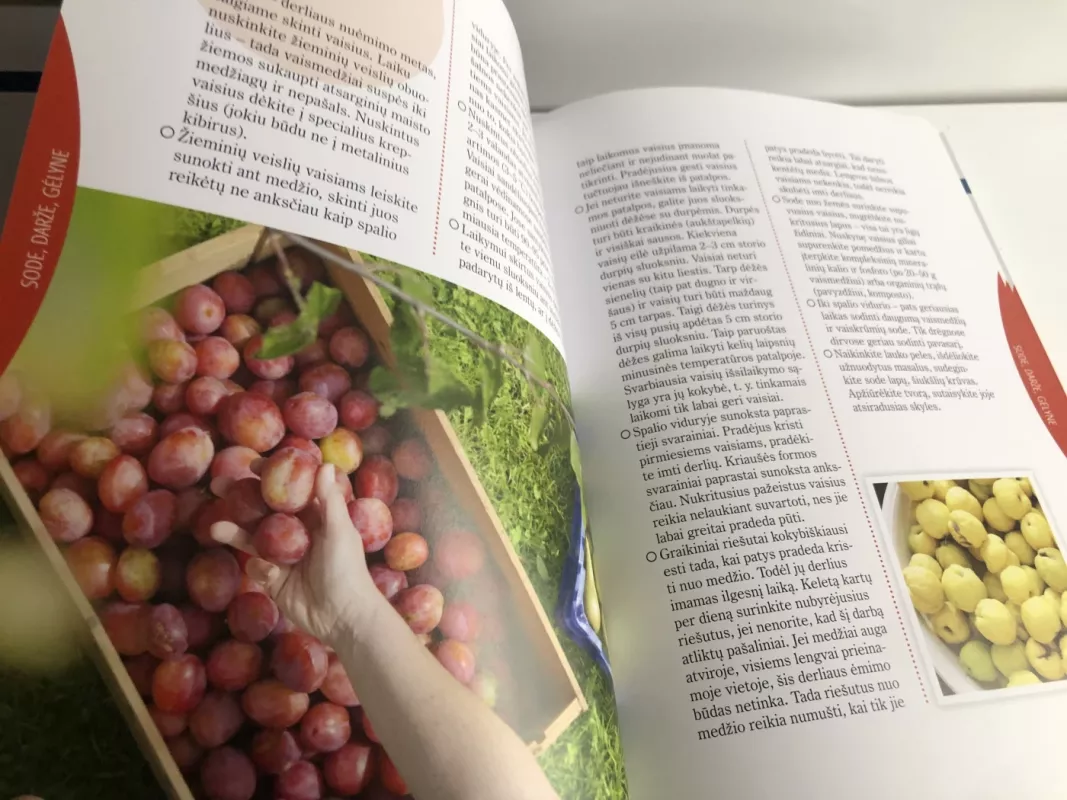 Praktiškos moters knyga - Daiva Dmuchovska, knyga 6