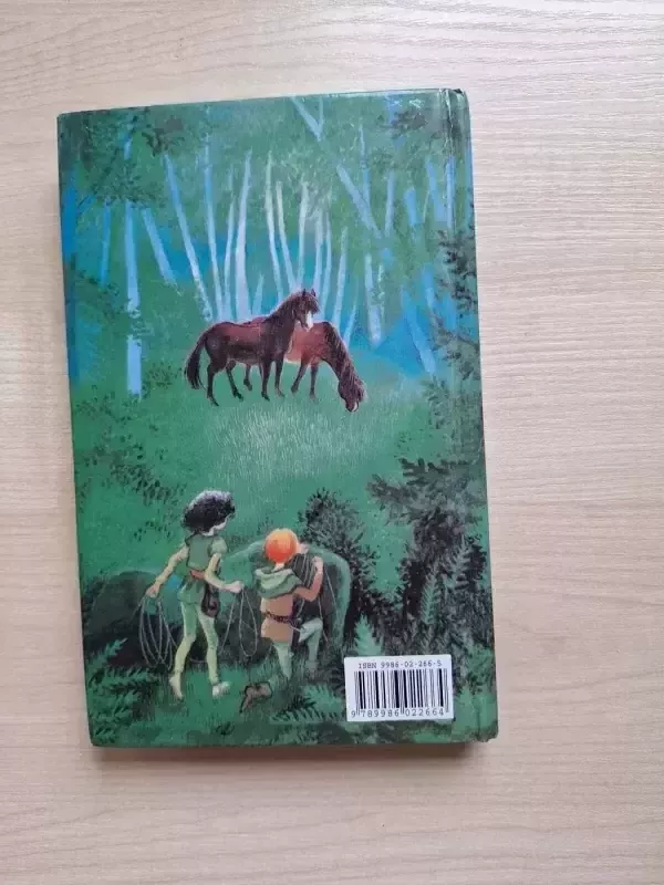 Ronja plėšiko dukra - Astrid Lindgren, knyga 3