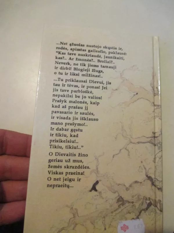 Dievaitis - Marija Rodzevičuvna, knyga 6