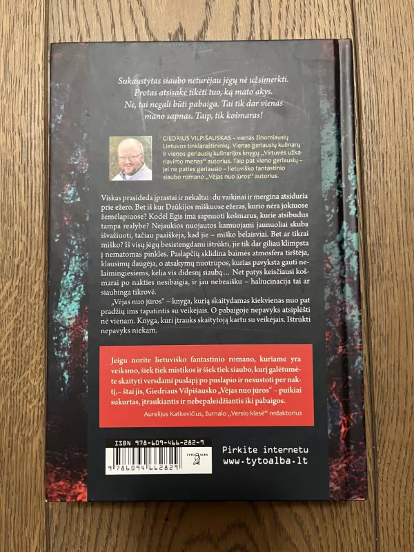 Vėjas nuo jūros - Giedrius Vilpišauskas, knyga 3