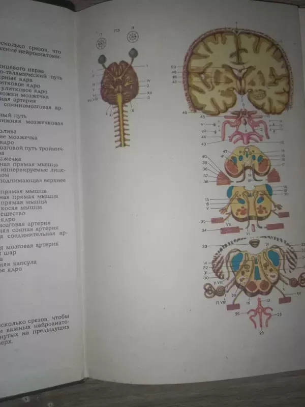 Diagnostika nervnih boleznei - P.D.Kollinz, knyga 3