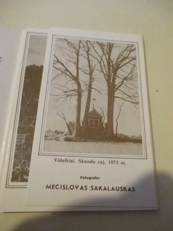 Koplytėlės - Autorių Kolektyvas, knyga 5