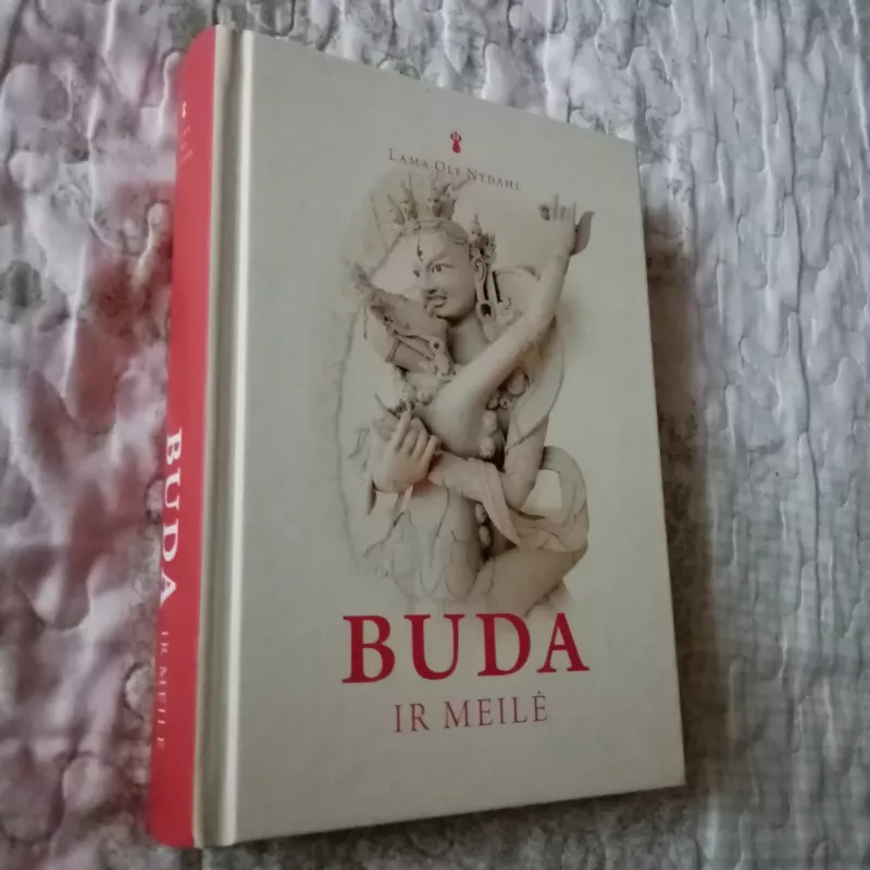 Buda ir meilė: laiminga partnerystė budistų Mokytojo akimis - Lama Ole Nydahl, knyga 2