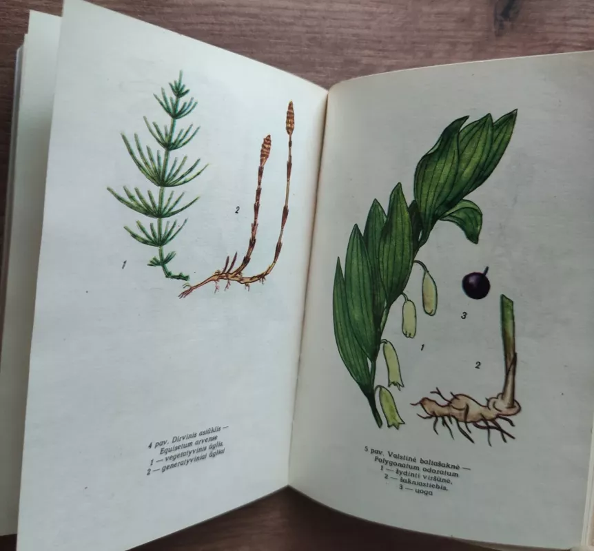 Augalai ir kosmetika - Autorių Kolektyvas, knyga 4
