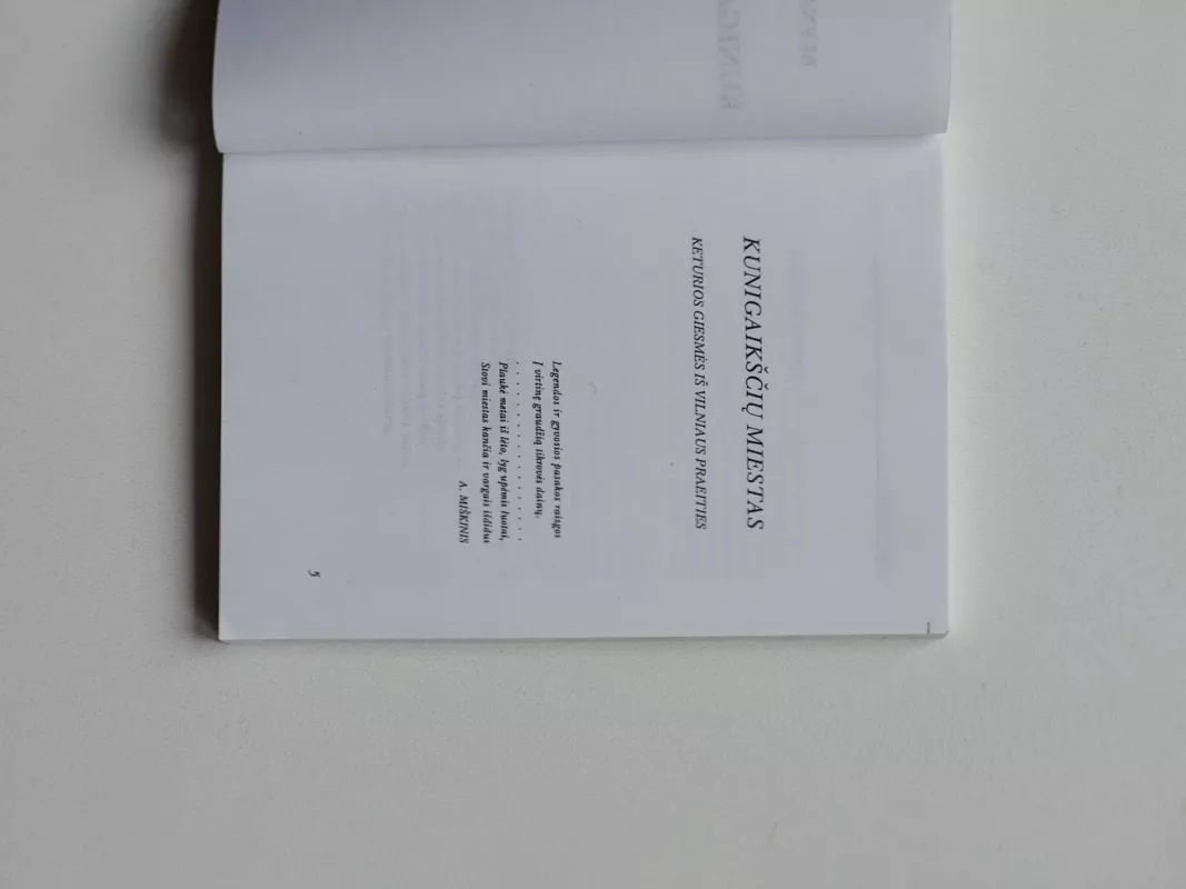 Kunigaikščių miestas. Keturios giesmės iš Vilniaus praeities - Bernardas Brazdžionis, knyga 6