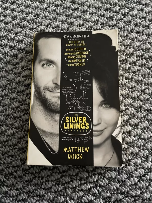 Silver Linings Playbook - Quick Matthew, knyga 2