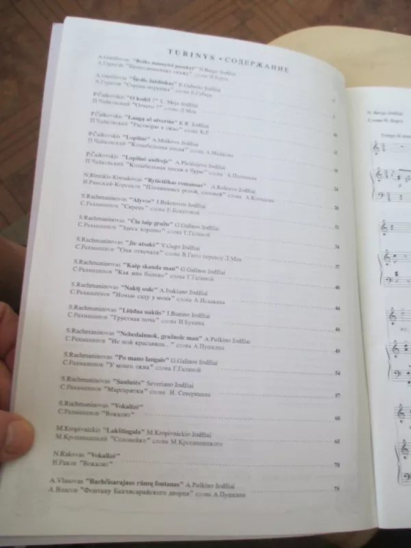 Rusų kompozitorių romansai iš Elenos Čiudakovos koncertinio repertuaro - Autorių Kolektyvas, knyga 6