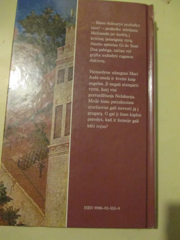 Mari-gundantis angelas - Marie Cordonnier, knyga 4