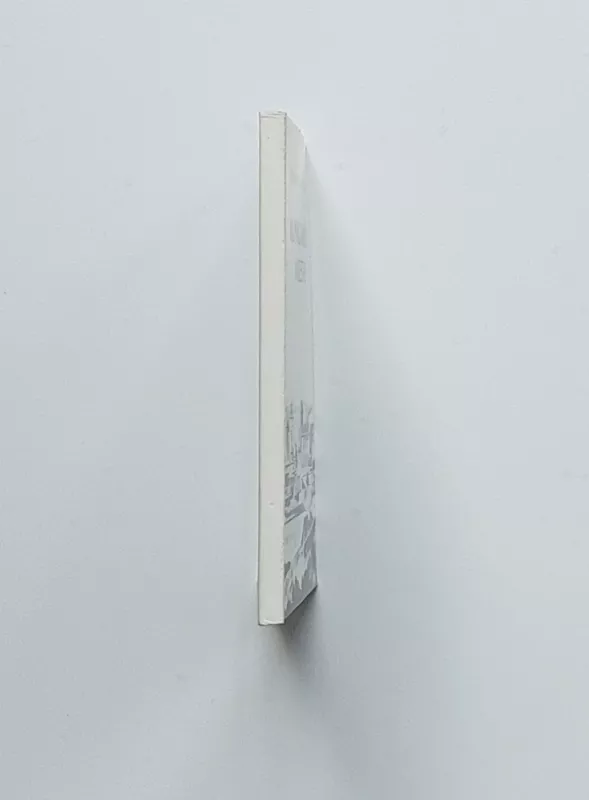 Kunigaikščių miestas. Keturios giesmės iš Vilniaus praeities - Bernardas Brazdžionis, knyga 4