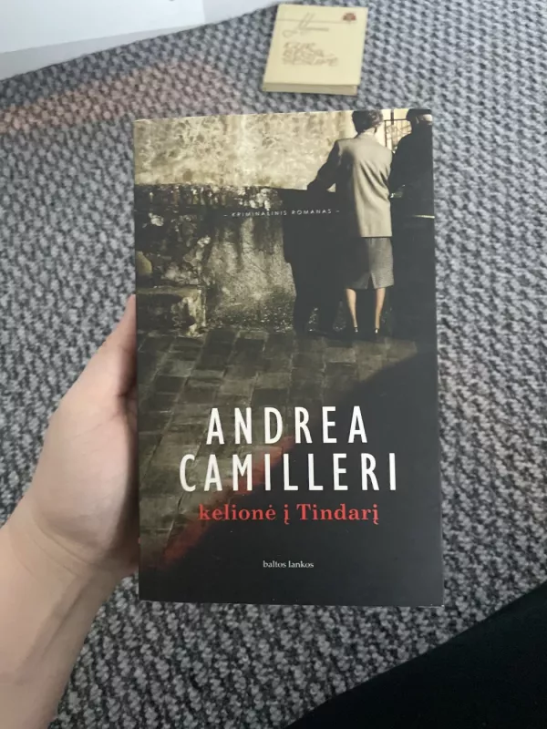 Kelionė į Tindarį - Andrea Camilleri, knyga 2