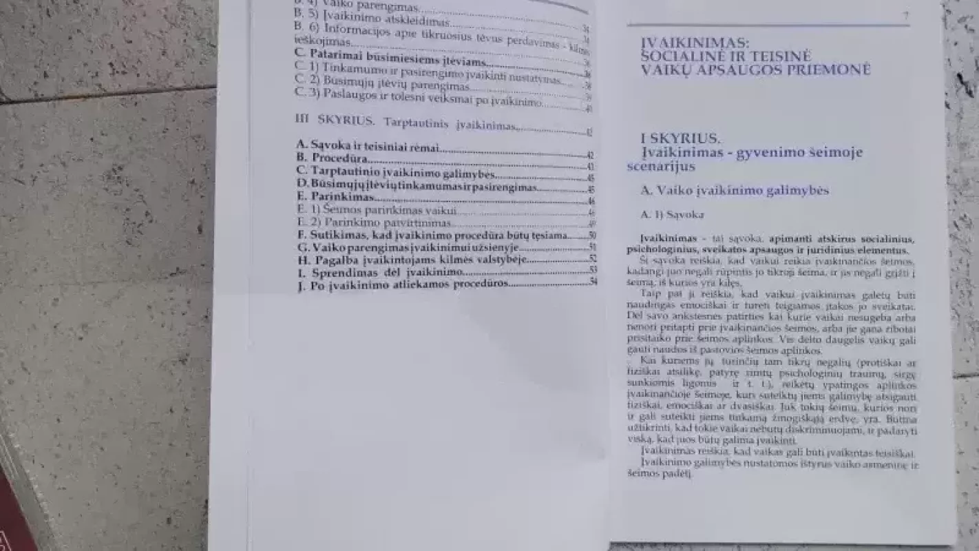 Vadovas. Svarbiausi vaiko interesai ir įvaikinimas - Autorių Kolektyvas, knyga 4