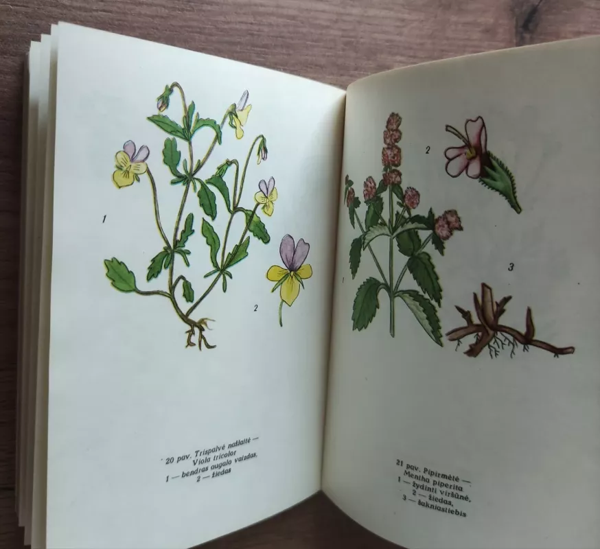 Augalai ir kosmetika - Autorių Kolektyvas, knyga 6